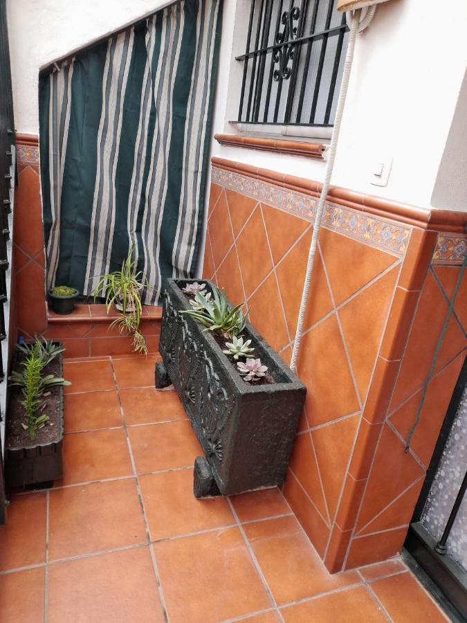 Alojamiento Casa Piano Mairena del Aljarafe Zewnętrze zdjęcie